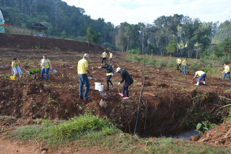 GRUPO DE VOLUNTÁRIOS DE PALMITOS REALIZOU O PLANTIO DE MUDAS NA UNIDADE DE SÃO BRAZ
