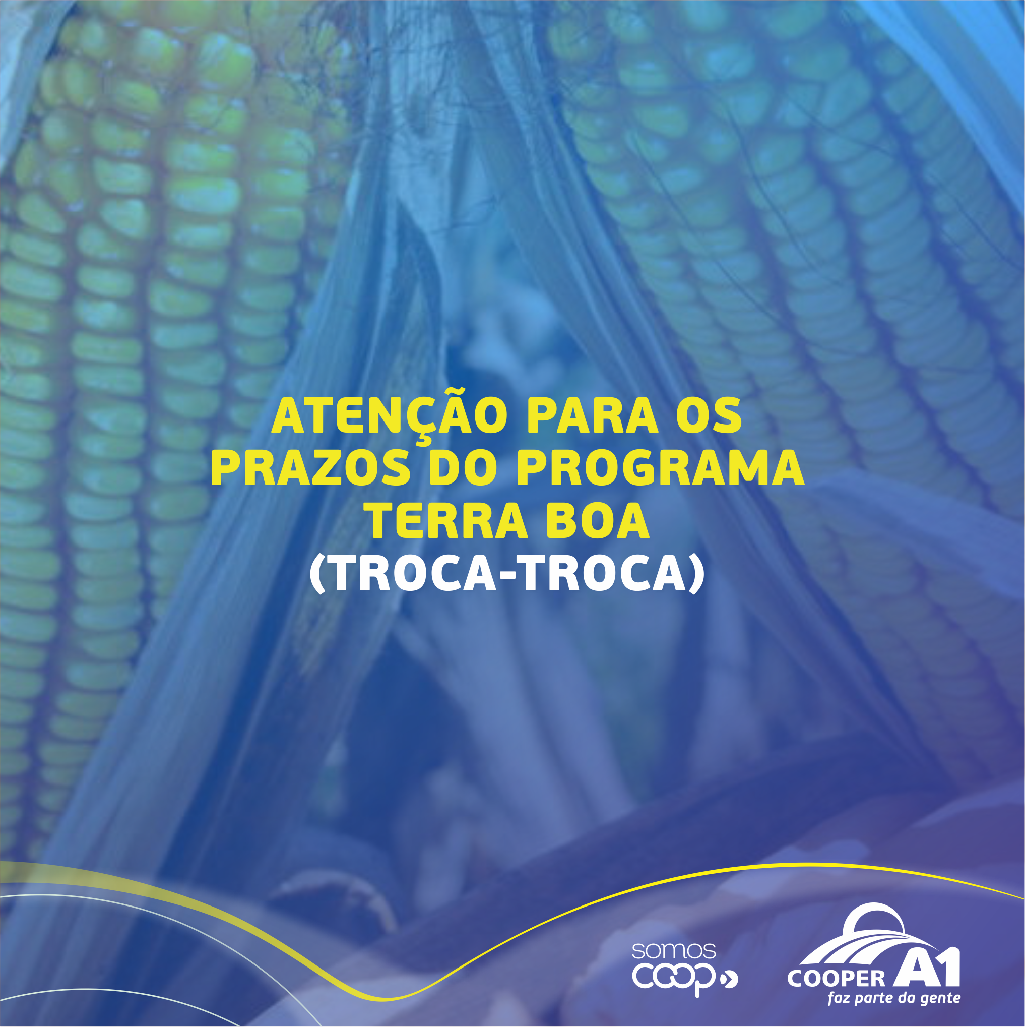 ATENÇÃO PRODUTORES: PRAZOS PARA O PROGRAMA TROCA-TROCA