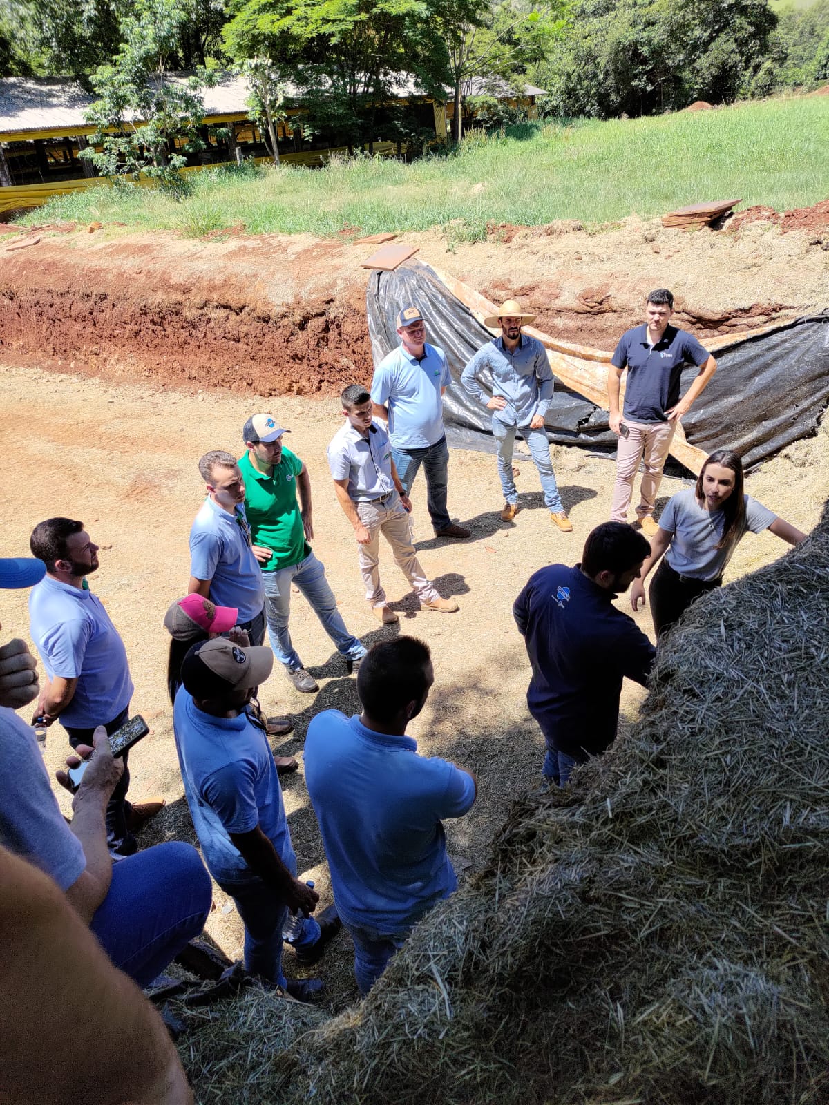 TREINAMENTO BOVINOCULTURA:  Enfoque em processamento e armazenagem de forragens