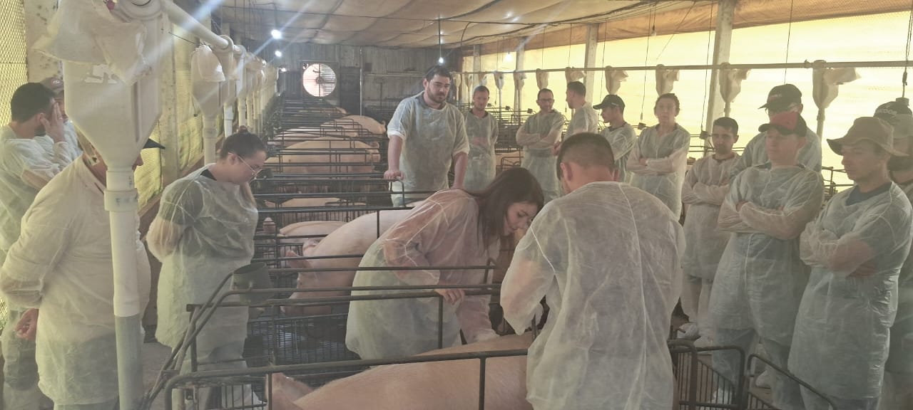 DIA DE CAMPO: Alimentação de matrizes na lactação